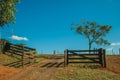 Farm gate with cattle guard and barbed wire fence Royalty Free Stock Photo