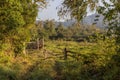 Farm gate and field with forest at sunrise Royalty Free Stock Photo