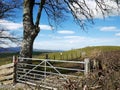 Farm gate, iron