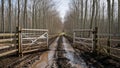 Farm gate open to muddy trail leading between rows of tall bare trees in spring Royalty Free Stock Photo