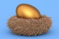 Farm gold egg in bird nest on blue background Royalty Free Stock Photo