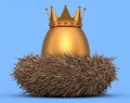 Farm gold egg with gold royal king crown in bird nest on blue background Royalty Free Stock Photo