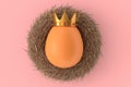 Farm gold egg with gold royal king crown in bird nest on pink background Royalty Free Stock Photo