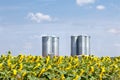 Farm grain silos