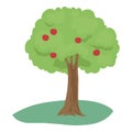 Farm green apple tree icon, cartoon and flat style Royalty Free Stock Photo