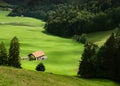 Farm and green fields of Gruyere region, Switzerland Royalty Free Stock Photo