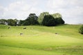 Farm Green Meadow
