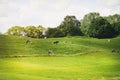 Farm Green Meadow