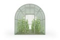 A farm greenhouse for growing plants, flowers. Front view
