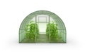 Farm greenhouse for growing plants, fruits, berries, vegetables, flowers. Visualization of a hotbed with green ripe plantings