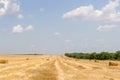 A farm harvested field with straw bales  in the countryside in summer Royalty Free Stock Photo