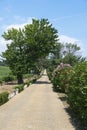 Farm in Herault (France)