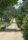 Farm in Herault (France)