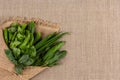 Farm herbs and cucumbers in burlap wrapping.