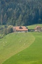 Farm on a hill Royalty Free Stock Photo