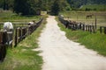 Farm, horse and ranch with dirt road in nature, eating grass and rural area in country side for agriculture production Royalty Free Stock Photo