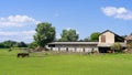 Farm with horses near Suno, Novara Royalty Free Stock Photo