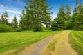 Farm house backyard with green lawn, fir trees, bushes Royalty Free Stock Photo