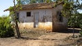 Farm house, coffee plantation tree and simple farm life