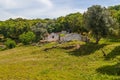 Farm house and cork tree in Santiago do Cacem Royalty Free Stock Photo