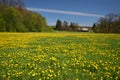 Farm house in the end of dandelion meadow