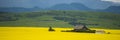 Farm house in field of canola Royalty Free Stock Photo