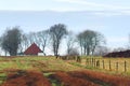 Farm house, field and trees at winter.