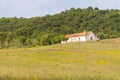 Farm house with flowers and pine trees in Cercal