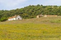 Farm house with flowers and pine trees in Cercal