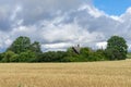 Farm house hidden between trees in the middle of wheat genus Triticum field Royalty Free Stock Photo