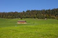 Farm house on hill with green grass and forrest Royalty Free Stock Photo