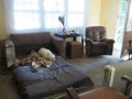 Farm House Indoor Photo of a lounge. Brown chairs, white blinds and stone floor