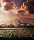 Farm  house landscape in the Nederlands Royalty Free Stock Photo