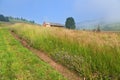 Farm house on the meadow with mayweeds and flowers on the background of foggy mountains. Ukraine, Carpathians Royalty Free Stock Photo