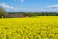 Farm house in the middle of farmland and fields, selective focuse Royalty Free Stock Photo