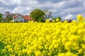 Farm house in the middle of farmland and fields, selective focuse Royalty Free Stock Photo