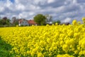Farm house in the middle of farmland and fields, selective focuse Royalty Free Stock Photo