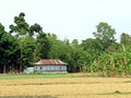farm house near Kushtia, Bangladesh