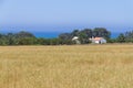 Farm house, plantation and ocean in Porto Covo
