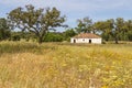 Farm house and trees in Vale Seco, Santiago do Cacem Royalty Free Stock Photo