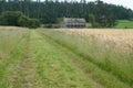 Farm house in a wheat field Royalty Free Stock Photo