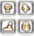 Farm Icons Royalty Free Stock Photo