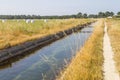 Farm Irrigation channel and Hay piles in Odeceixe