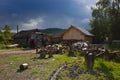 Farm in Karelia, Russia