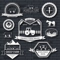 Farm label template of emblem element for your product or design, web and mobile applications with text. Vector Royalty Free Stock Photo