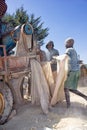 Workers shelling maize in Western Kenya