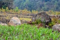 Farm land ,large boulders on top of natural levees