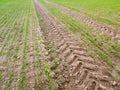 Farm land tire tractor track background dirt path floor grass