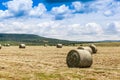 Farm landscape Royalty Free Stock Photo