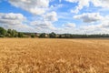 Farm Landscape Royalty Free Stock Photo